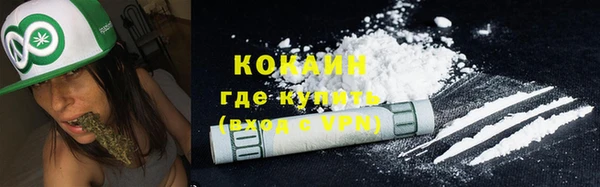 гашик Арсеньев