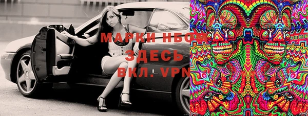 гашик Арсеньев