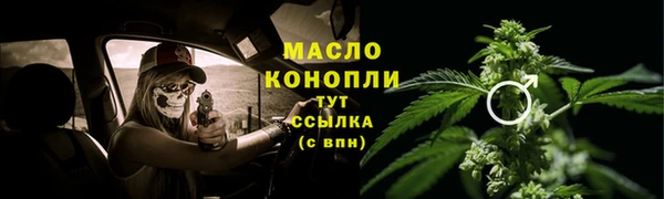 гашик Арсеньев