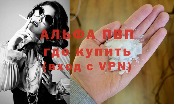 гашик Арсеньев