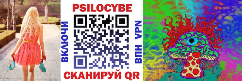 купить   Лянтор  Псилоцибиновые грибы Cubensis 